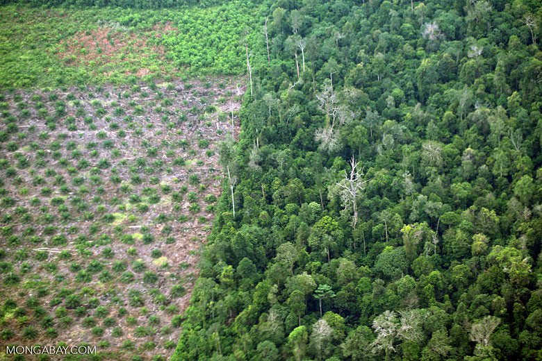 biodiversity