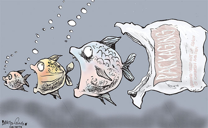 extinction