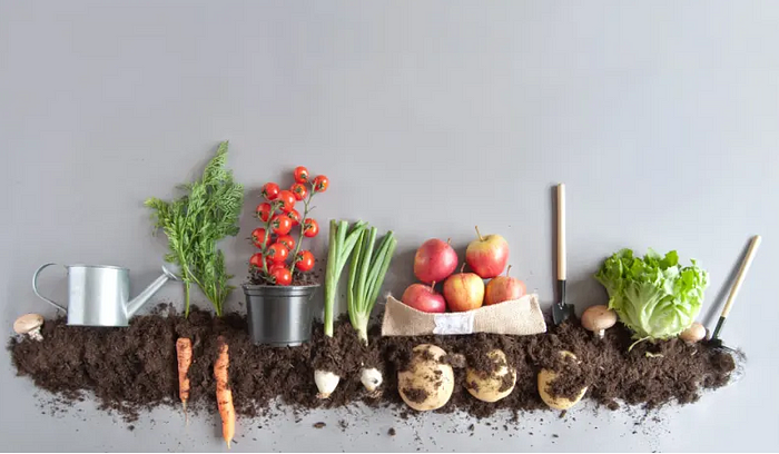 soil-img