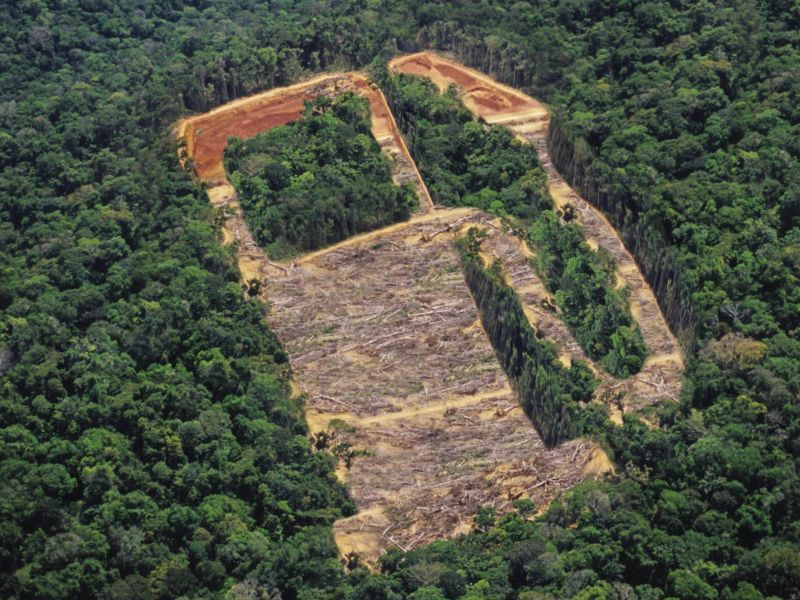 biofuels