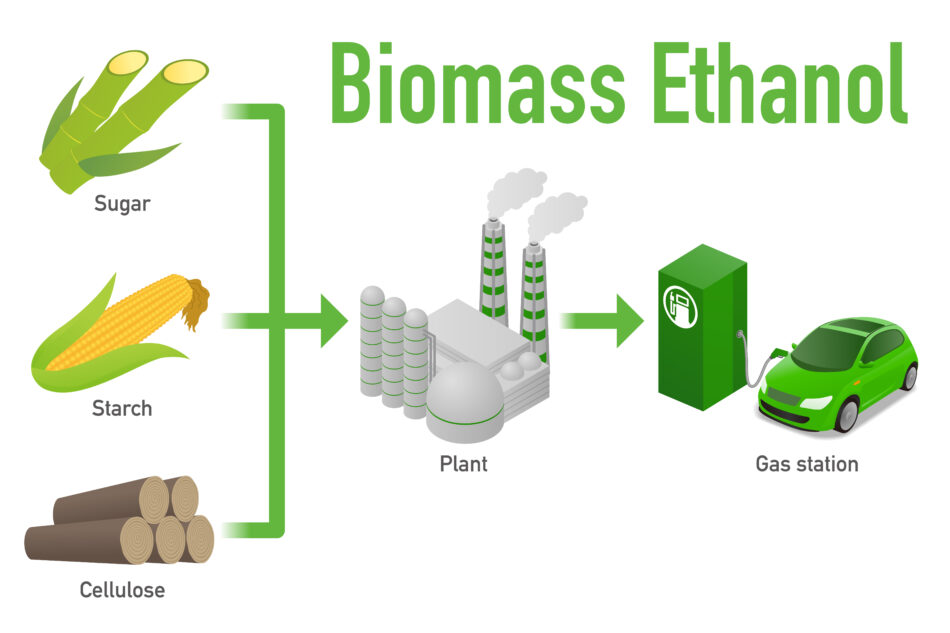 biomass