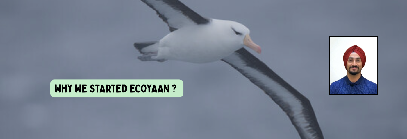 Blog Detail