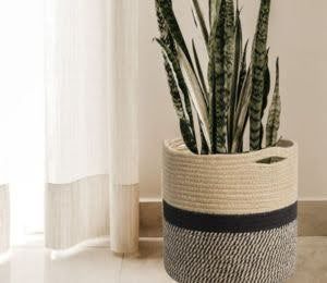 Jute Rope Baskets