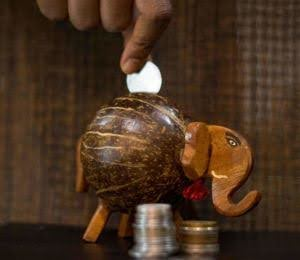 Coconut Shell Piggy Bank