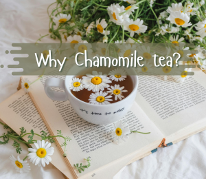 Blog Post