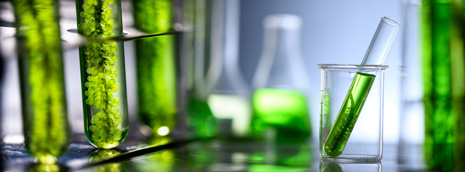 Biofuels laboratory research in Pune
