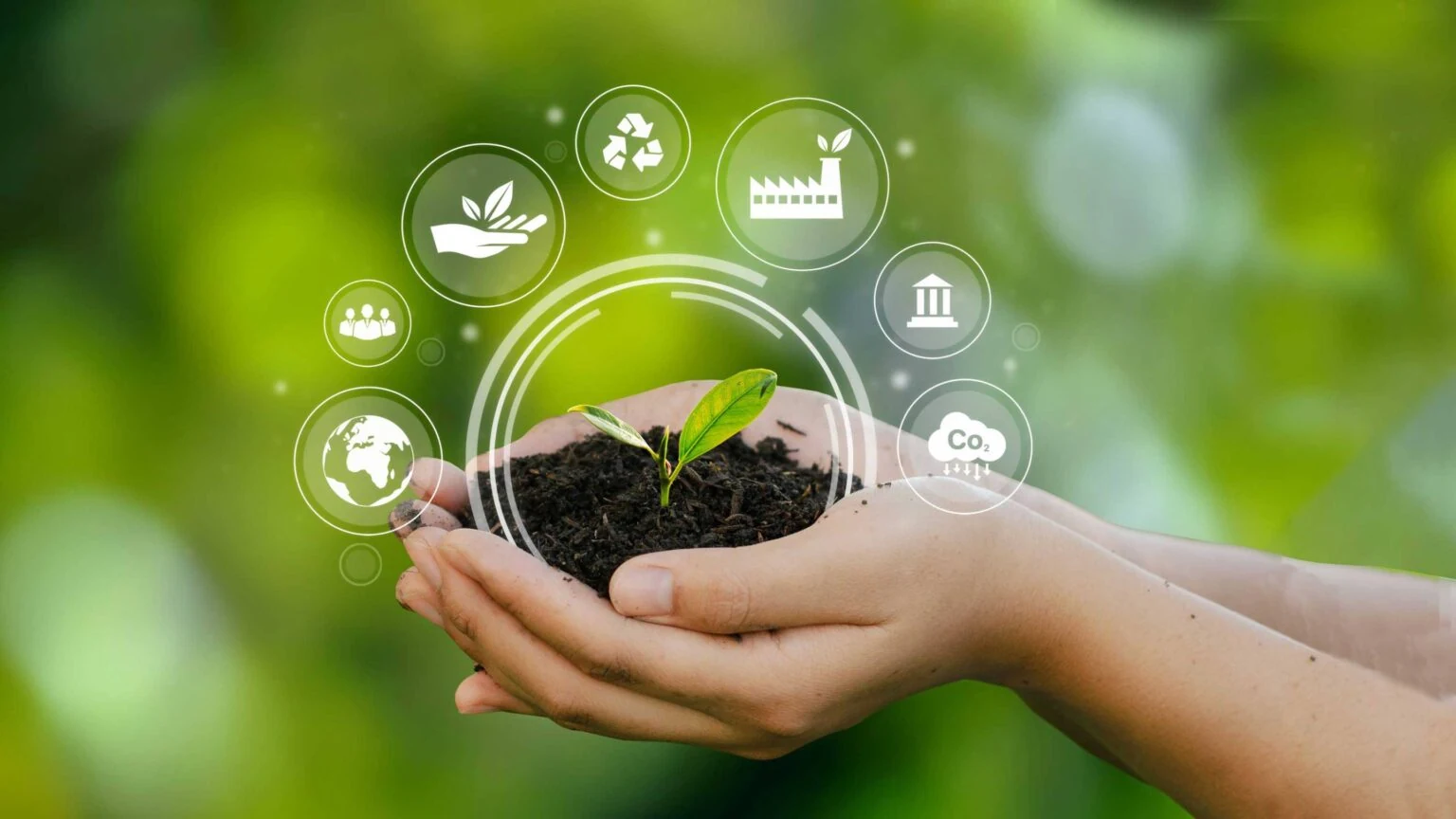 Filling Up on the Future: What Biofuels Mean for India