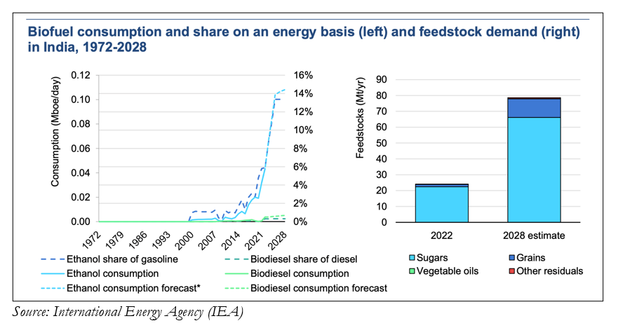 India's Big Bet on Biofuels