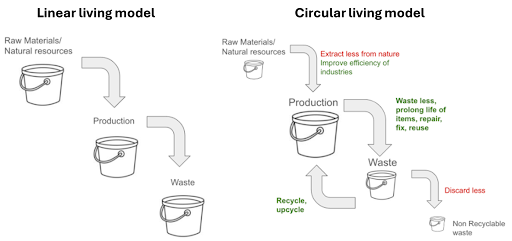 Circular vs Linear Living Model